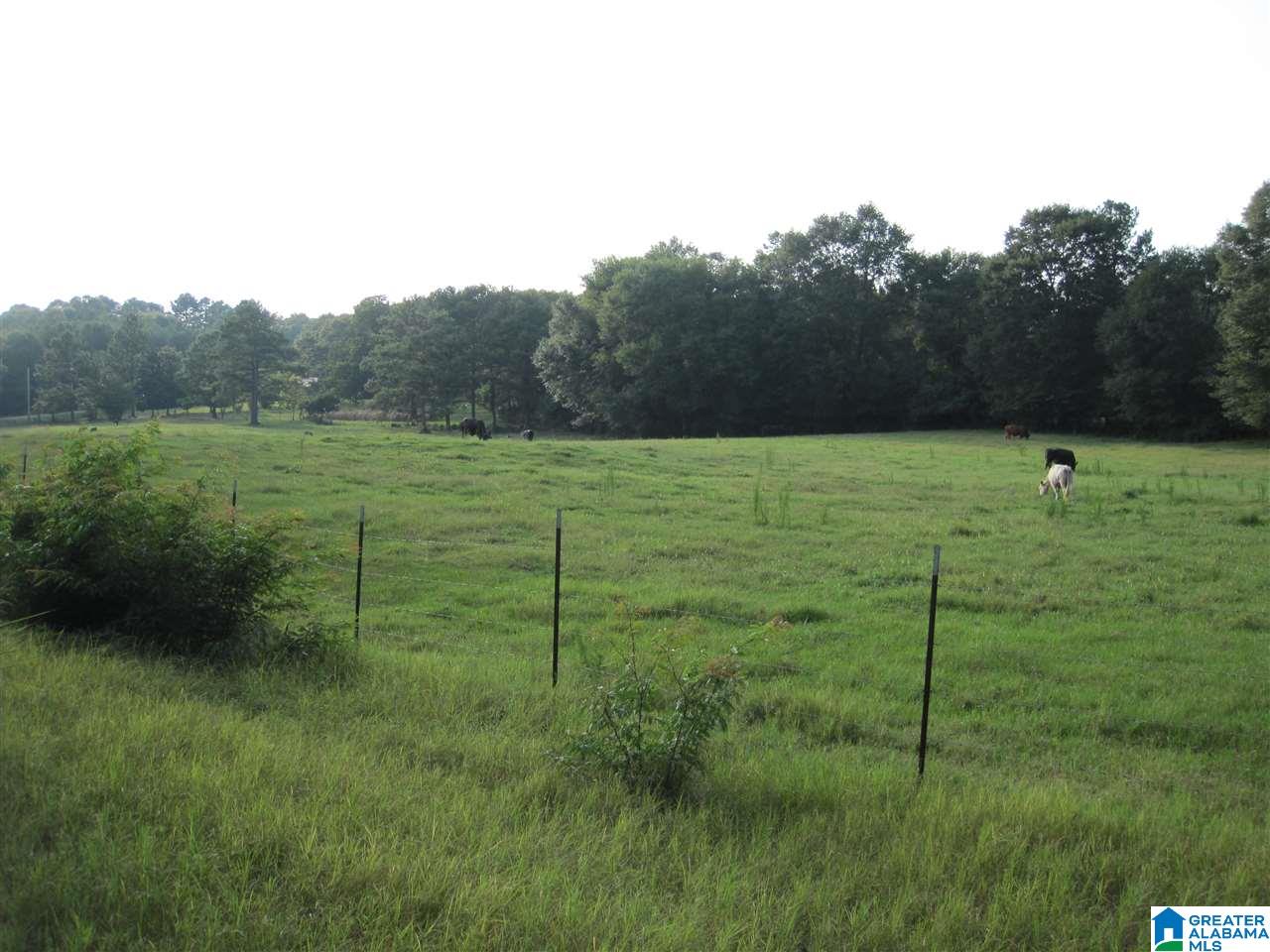 791-2 Dry Valley Road Lincoln, AL 35096 - Photo 37 of 50 Gallery Image 37
