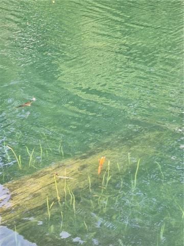 2070 West Bryant Road Center Point, LA 71323 - Photo 23 of 28