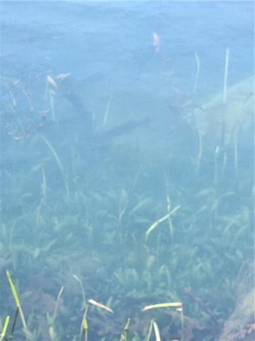 2070 West Bryant Road Center Point, LA 71323 - Photo 25 of 28