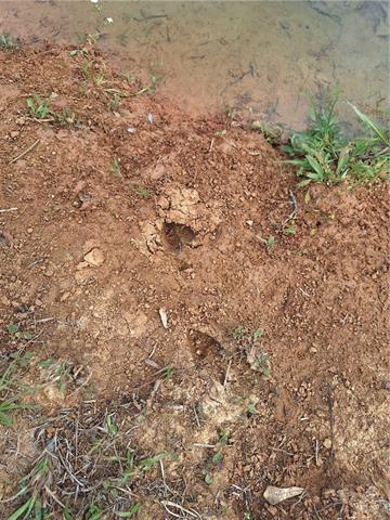 2070 West Bryant Road Center Point, LA 71323 - Photo 37 of 39 Gallery Image 37