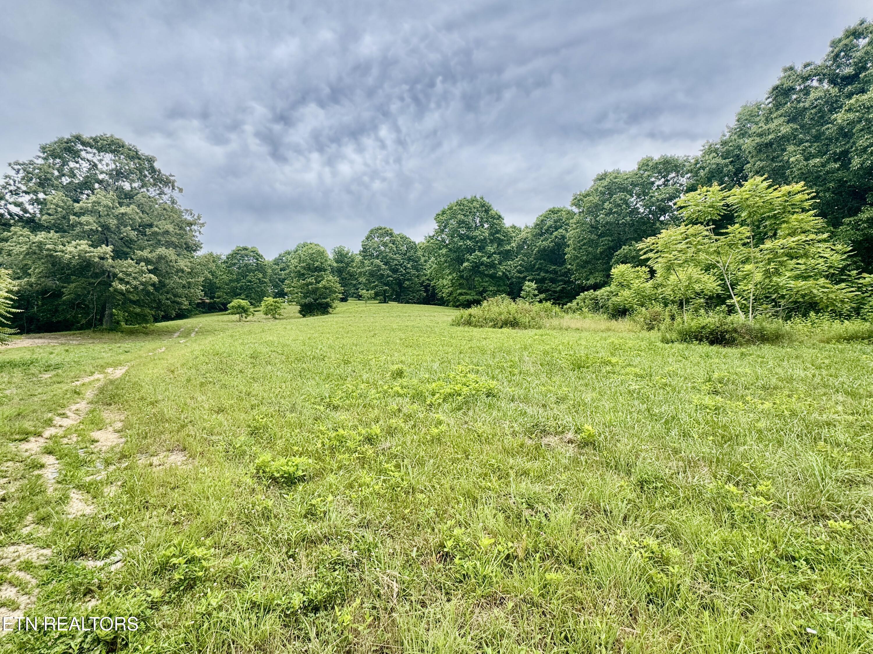 378 Johnson Hollow Road New Tazewell, TN 37825 - Photo 2 of 35 1-2