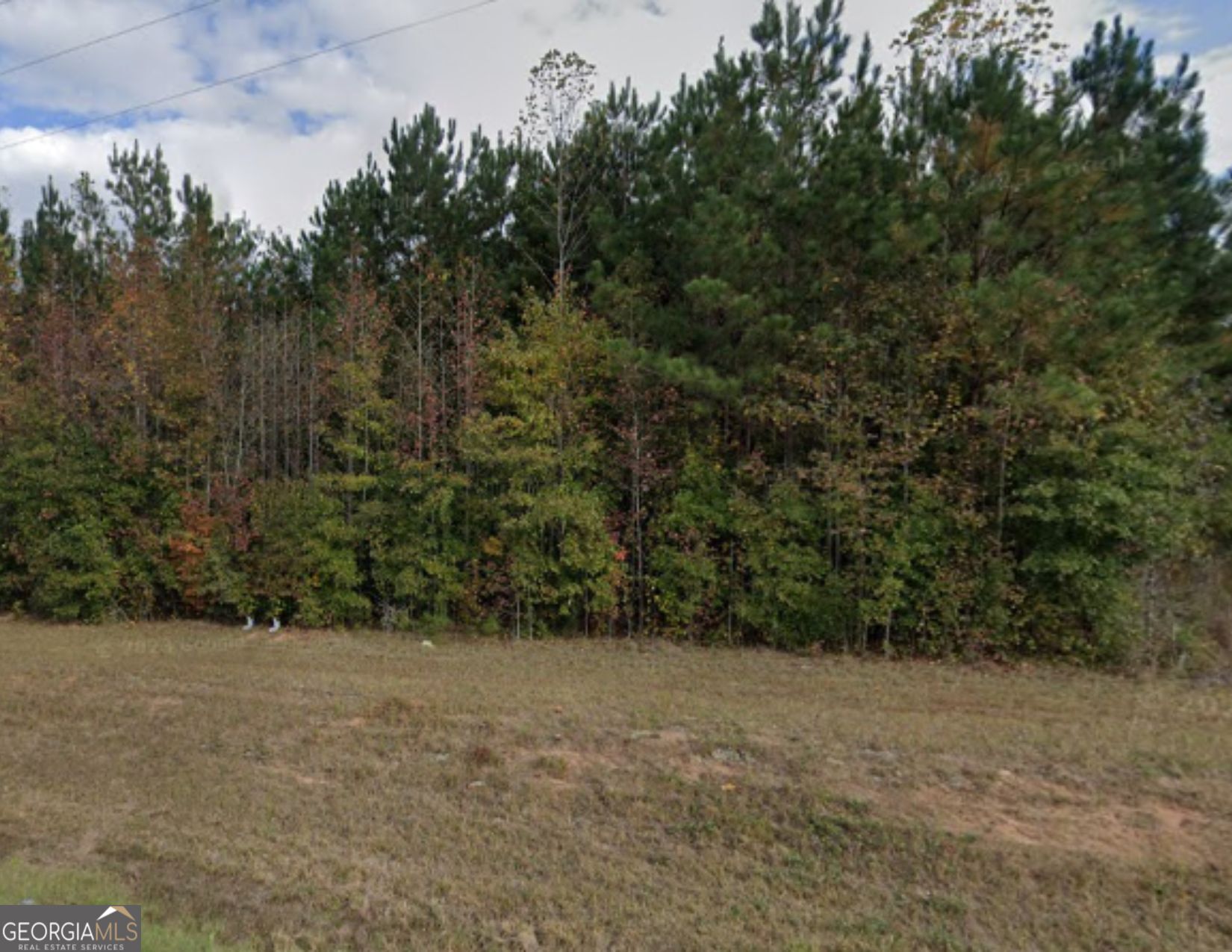 0 Ike Williams Road Gay, GA 30218 - Photo 1 of 1 a view of outdoor space and trees