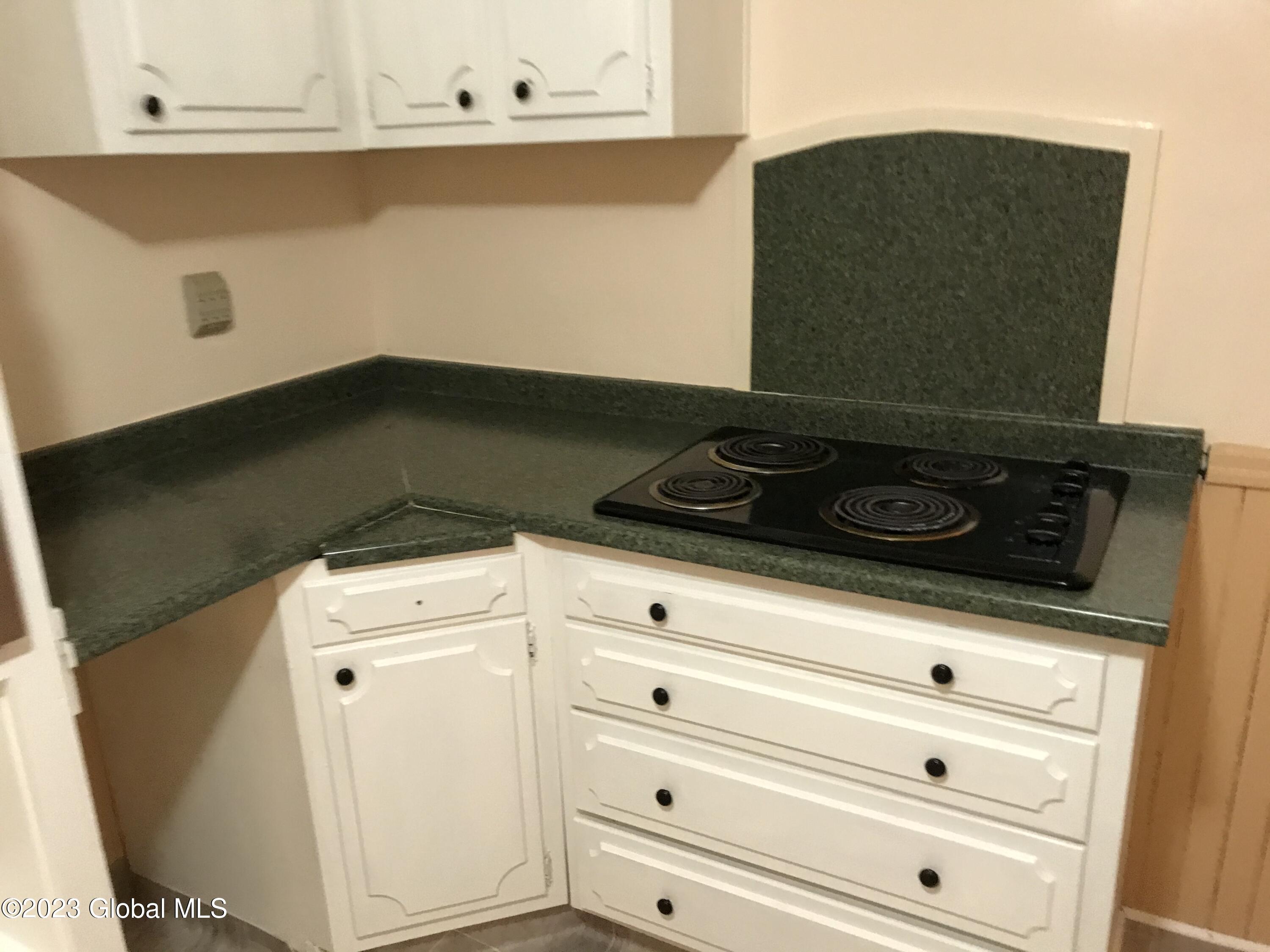 63 Elm Street Schenectady, NY 12304 - Photo 29 of 38 IMG_4871