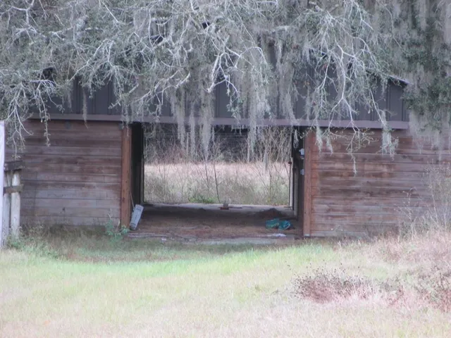 a view of outdoor space with deck and tree