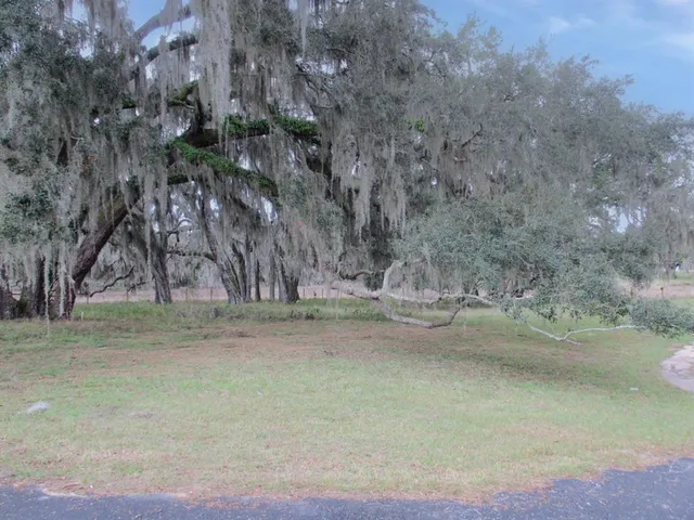 a view of dirt field with trees in background