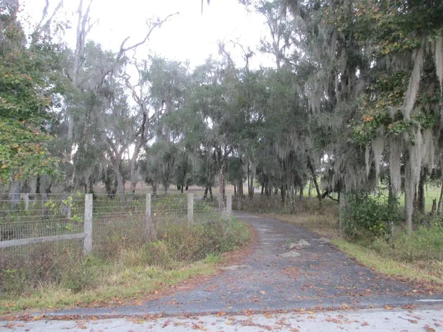 a view of a yard with a tree