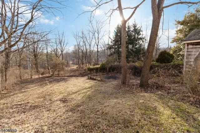 a view of a yard with trees