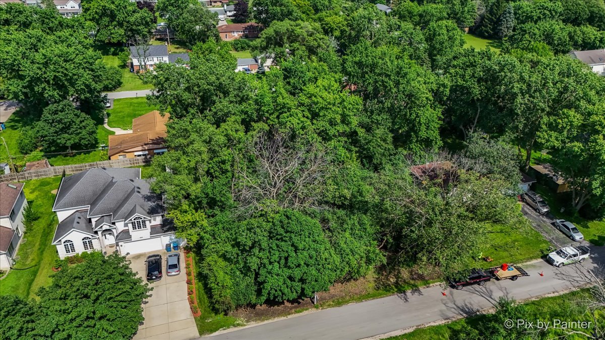 4N155 Niles Avenue Addison, IL 60101 - Photo 6 of 22