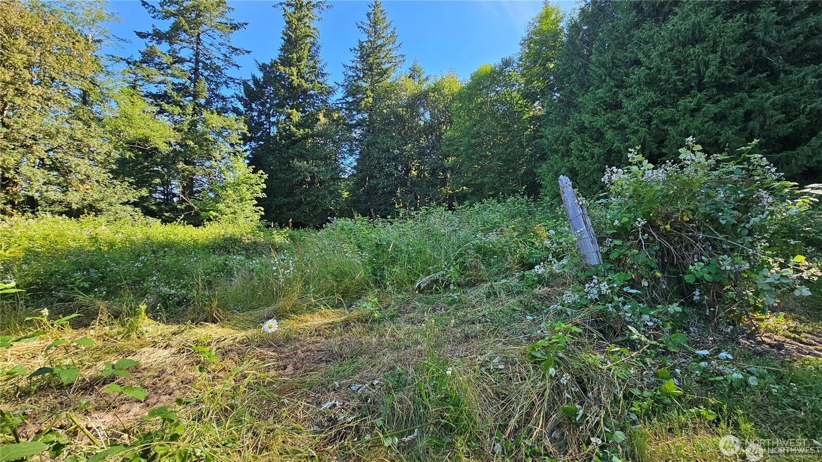 216-xx Little Valley Road Northeast Poulsbo, WA 98370 - Photo 5 of 18