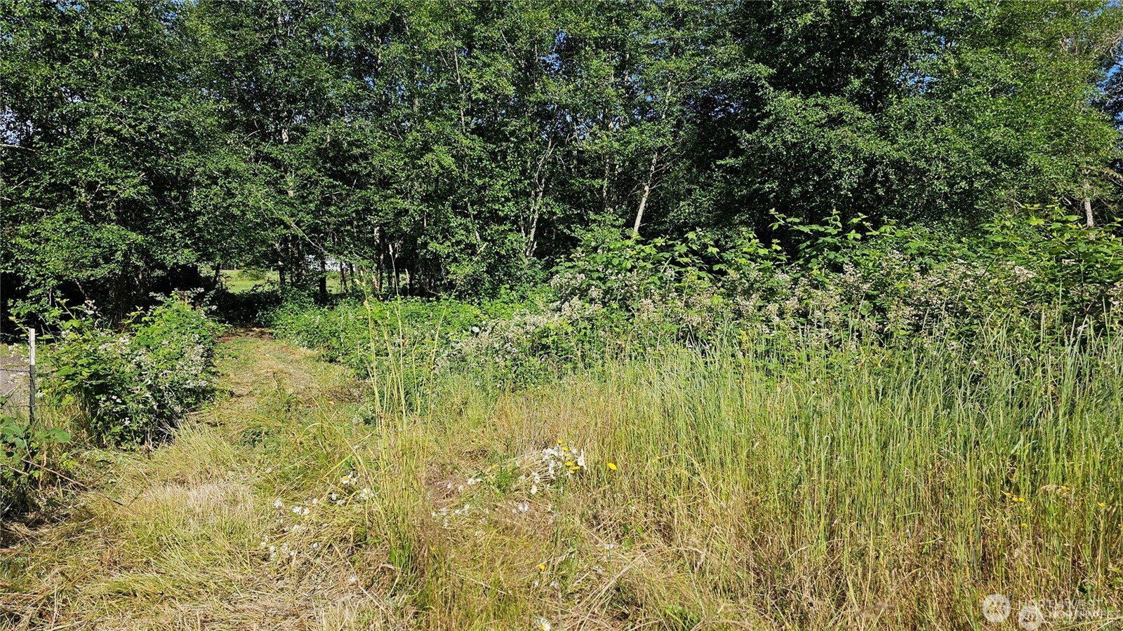 216-xx Little Valley Road Northeast Poulsbo, WA 98370 - Photo 6 of 18