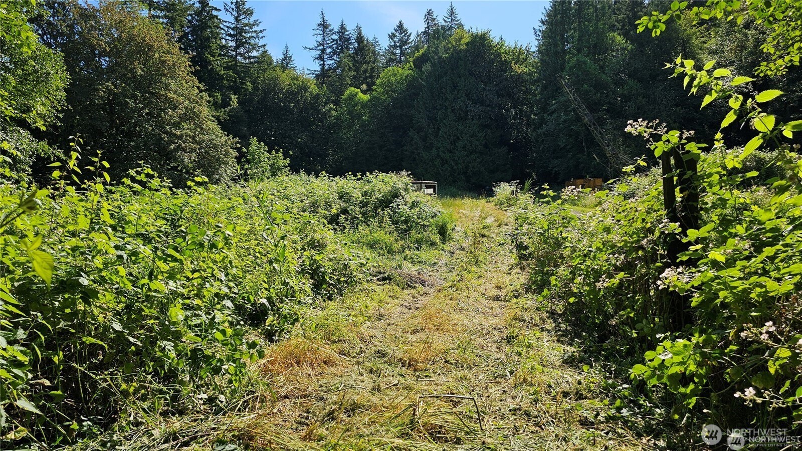 216-xx Little Valley Road Northeast Poulsbo, WA 98370 - Photo 7 of 18