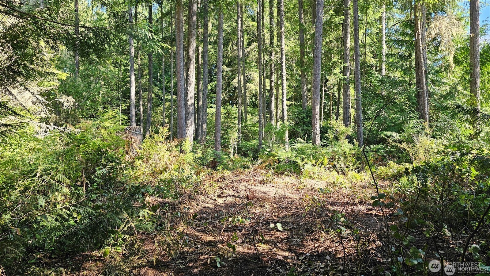 216-xx Little Valley Road Northeast Poulsbo, WA 98370 - Photo 8 of 18