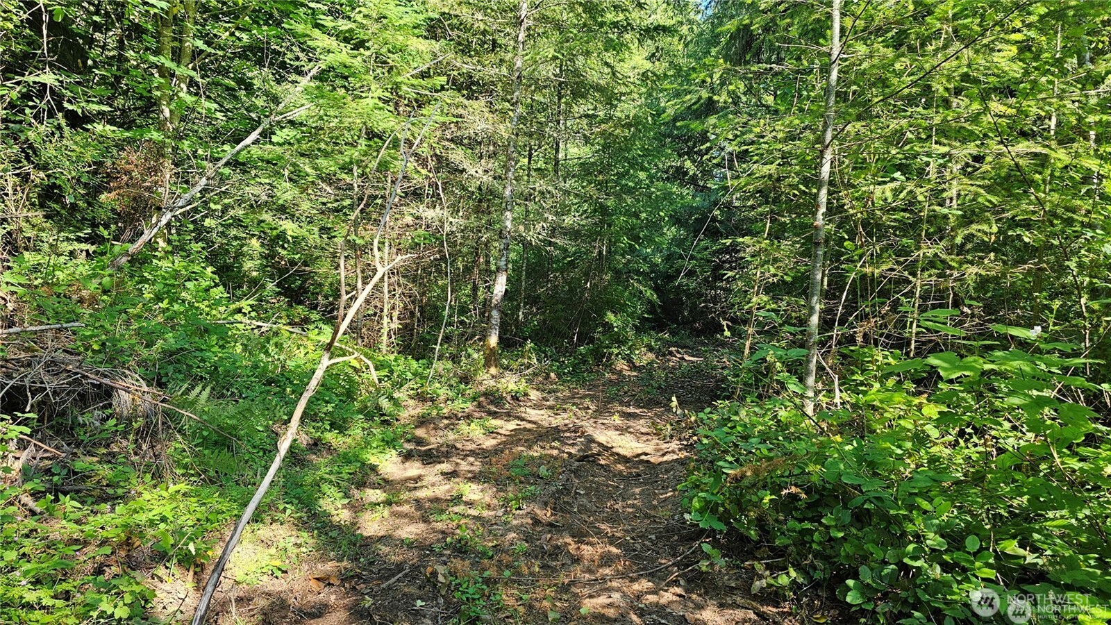 216-xx Little Valley Road Northeast Poulsbo, WA 98370 - Photo 9 of 18