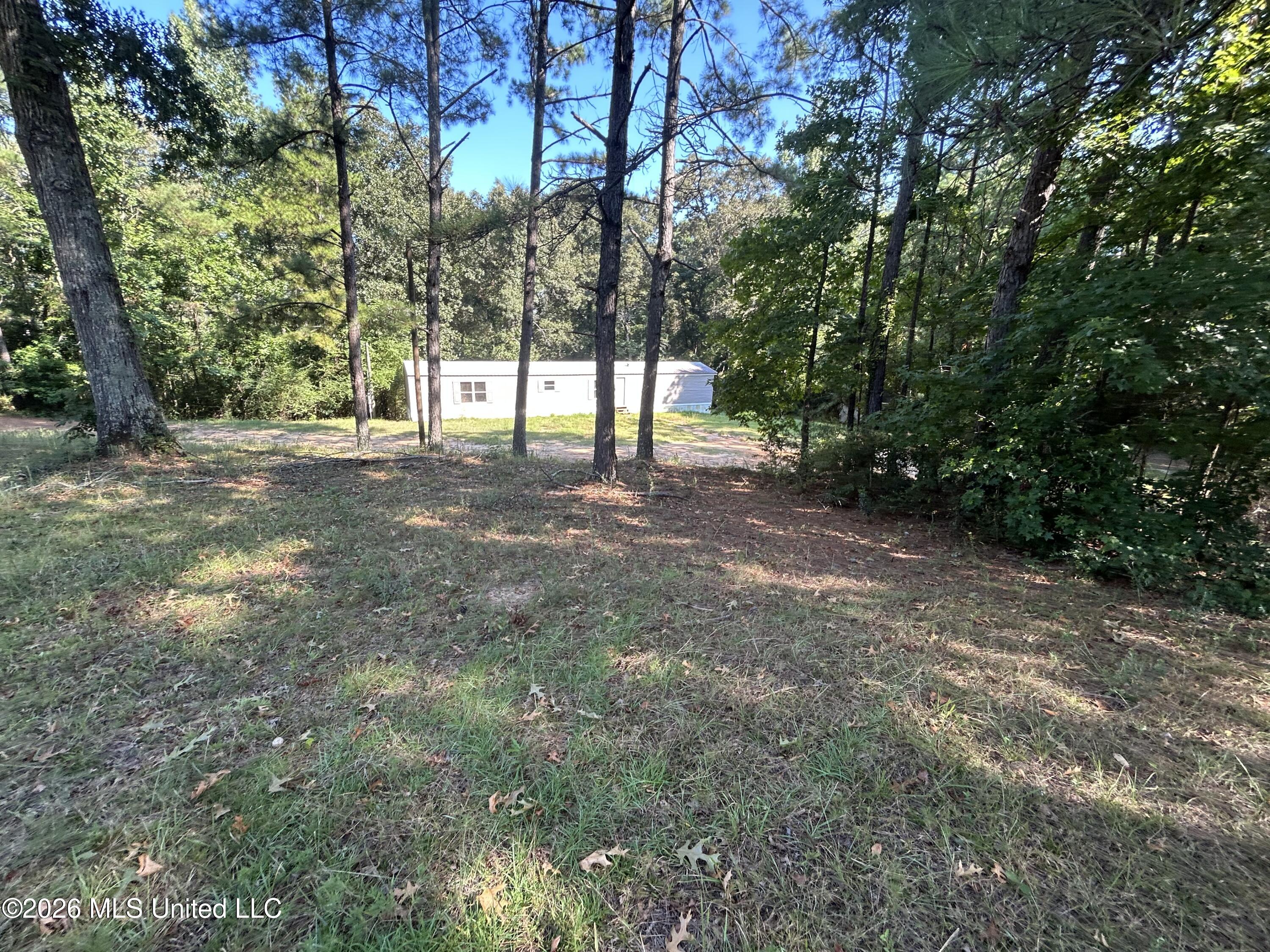 724 Mt Zion Road Mount Olive, MS 39119 - Photo 20 of 37 IMG_2606