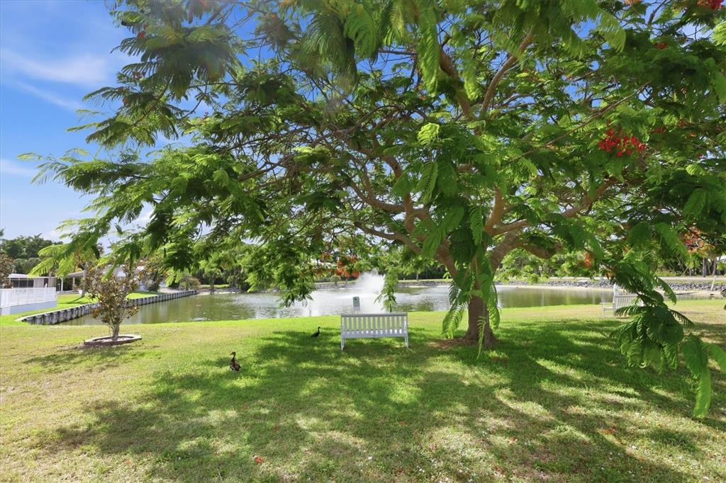 5920 Teahouse Road Venice, FL 34293 - Photo 51 of 59