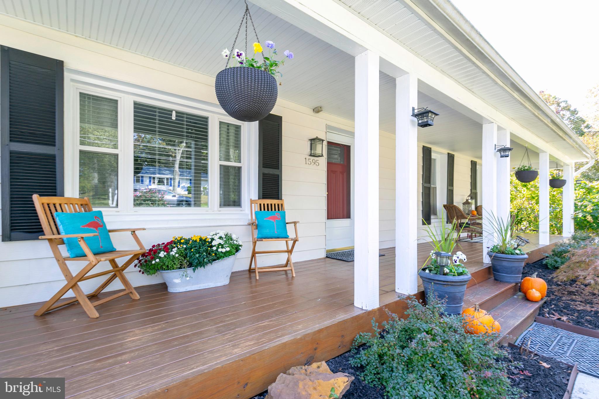 Welcome to 1595 Colony-a slice of the salty life!