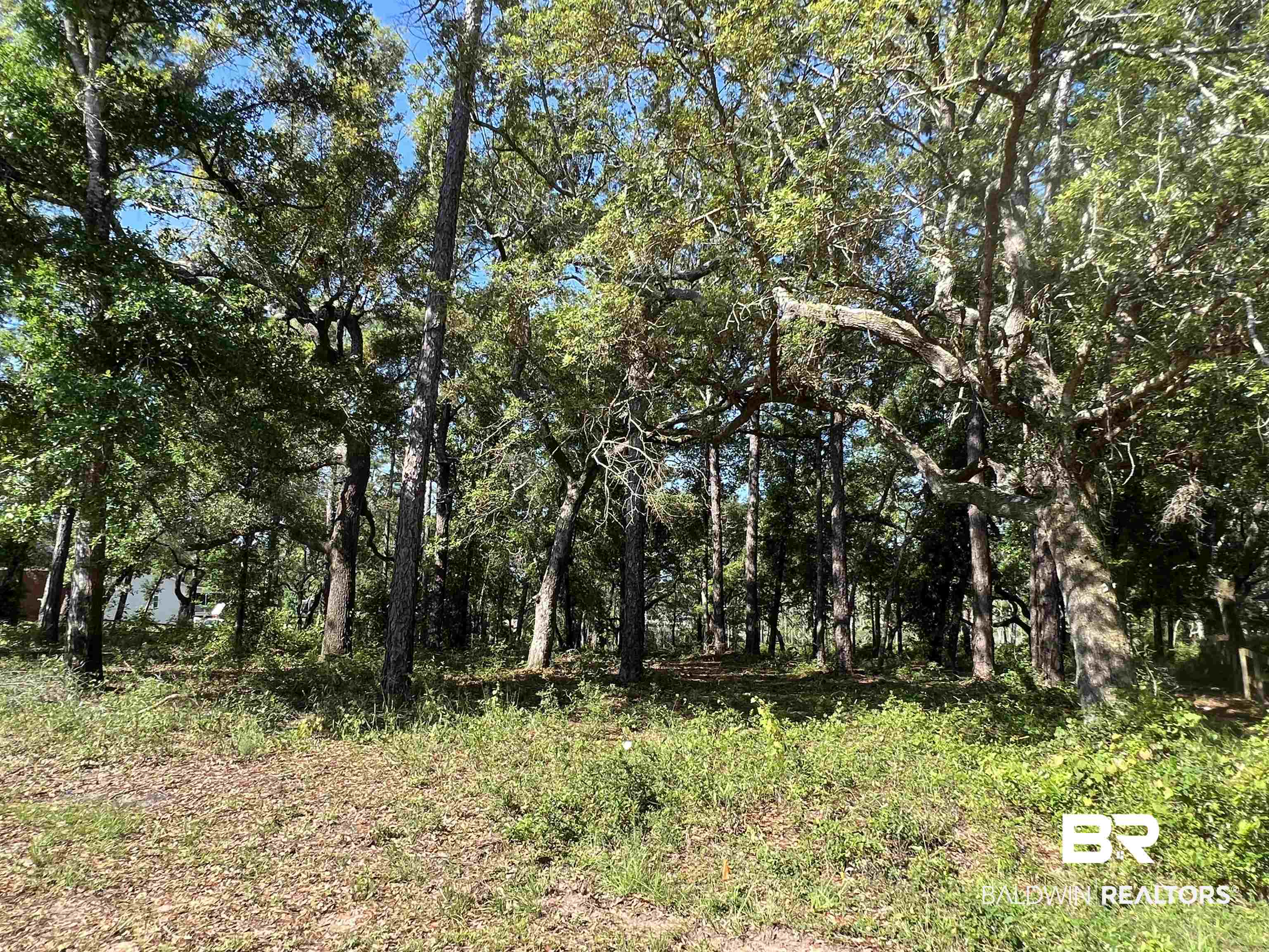 9545 North Bayou Road Lillian, AL 36549 - Photo 3 of 34 View of local wilderness