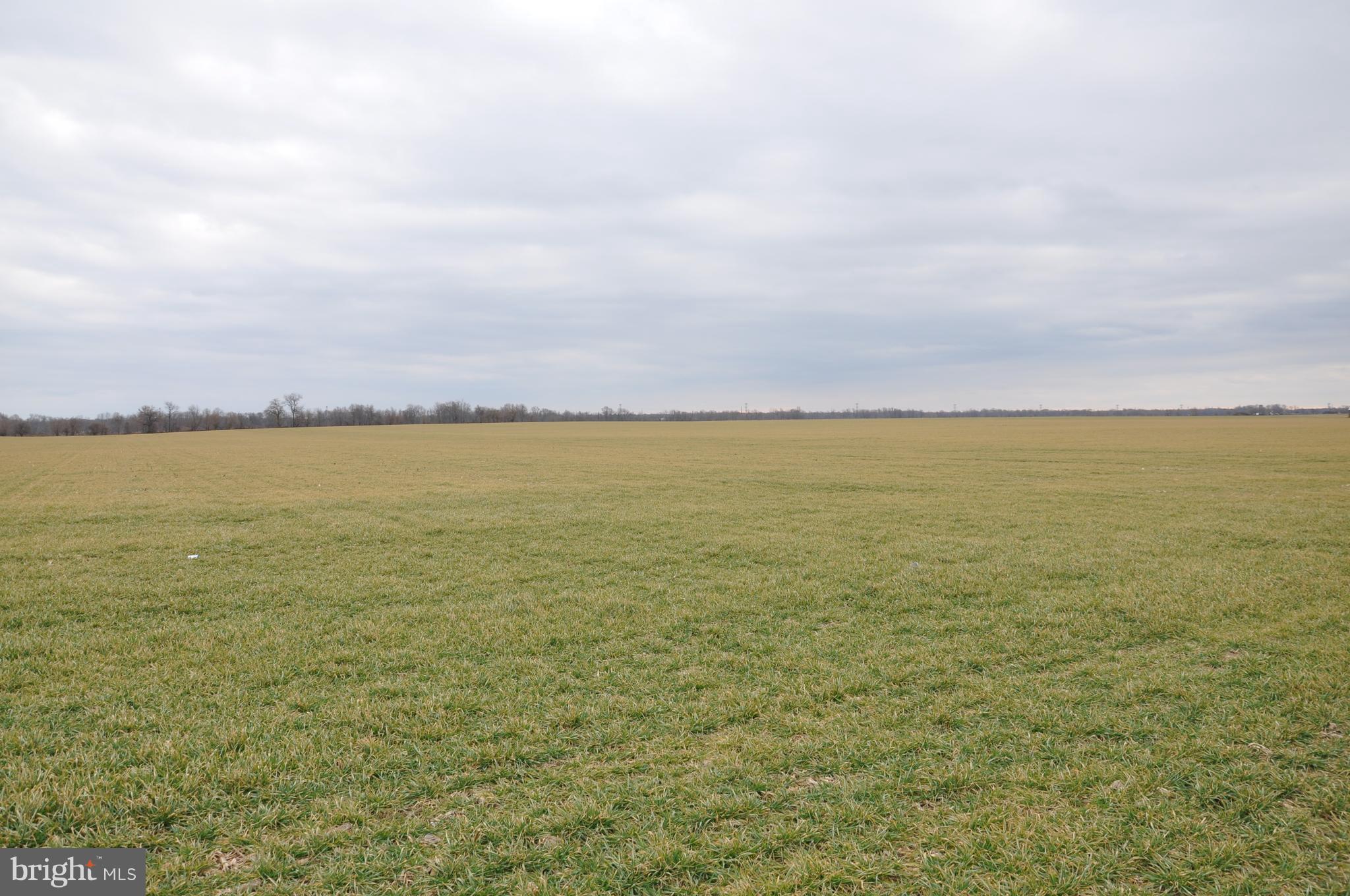 11571 Galena Road Massey, MD 21650 - Photo 13 of 16 Exterior (General) Prime soils level farmland