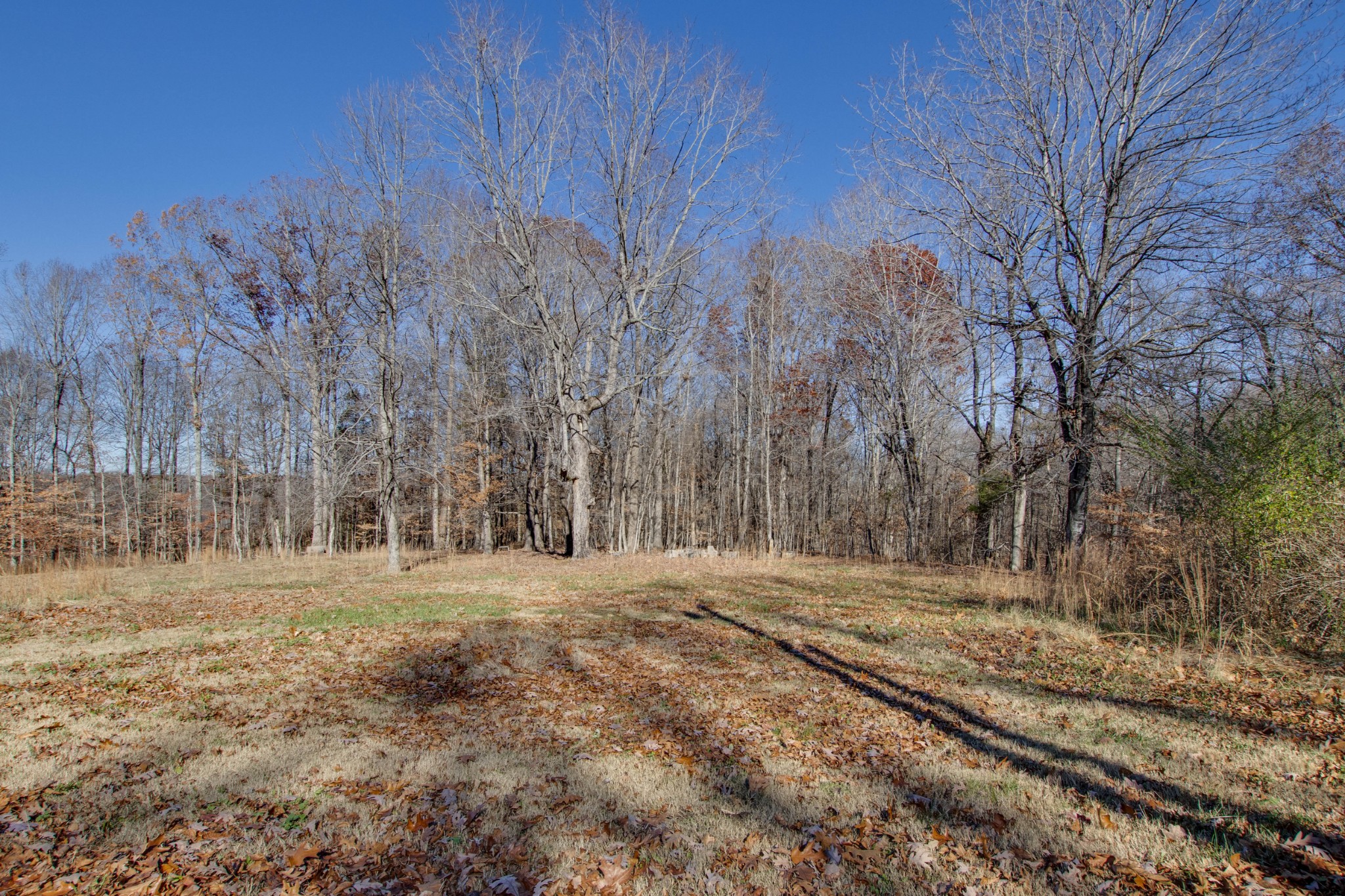 1323 Old Stage Road Charlotte, TN 37036 - Photo 23 of 24 Gallery Image 23