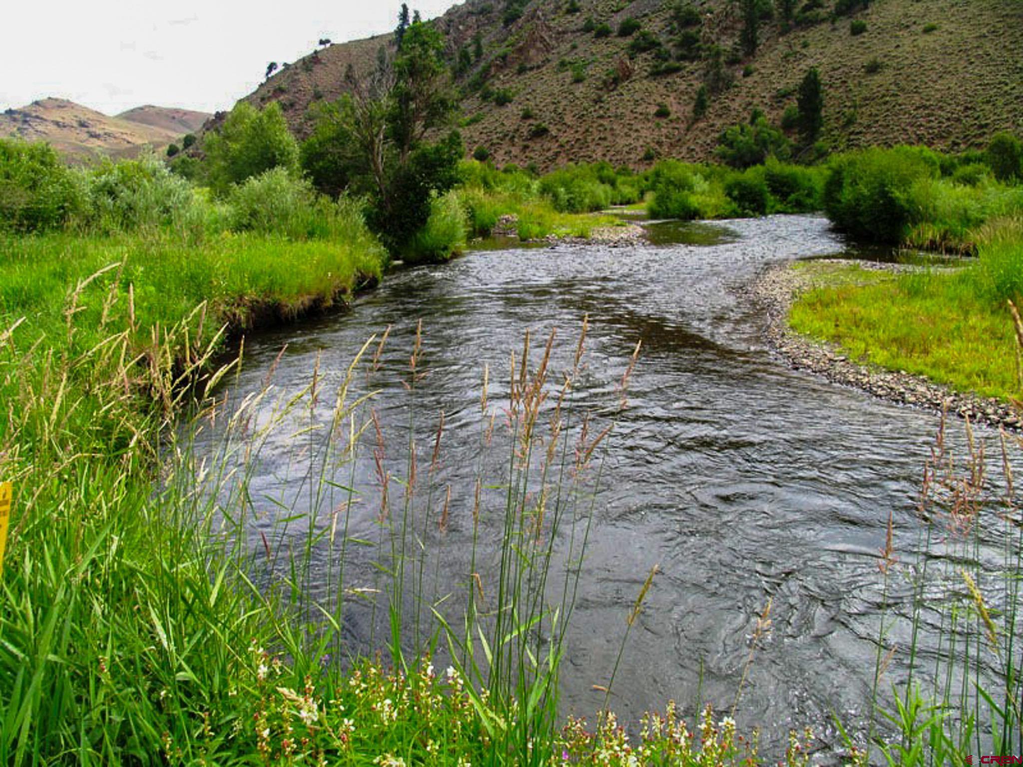 522 Cebolla Creek Ranch Powderhorn, CO 81243 - Photo 3 of 7 Gallery Image 3