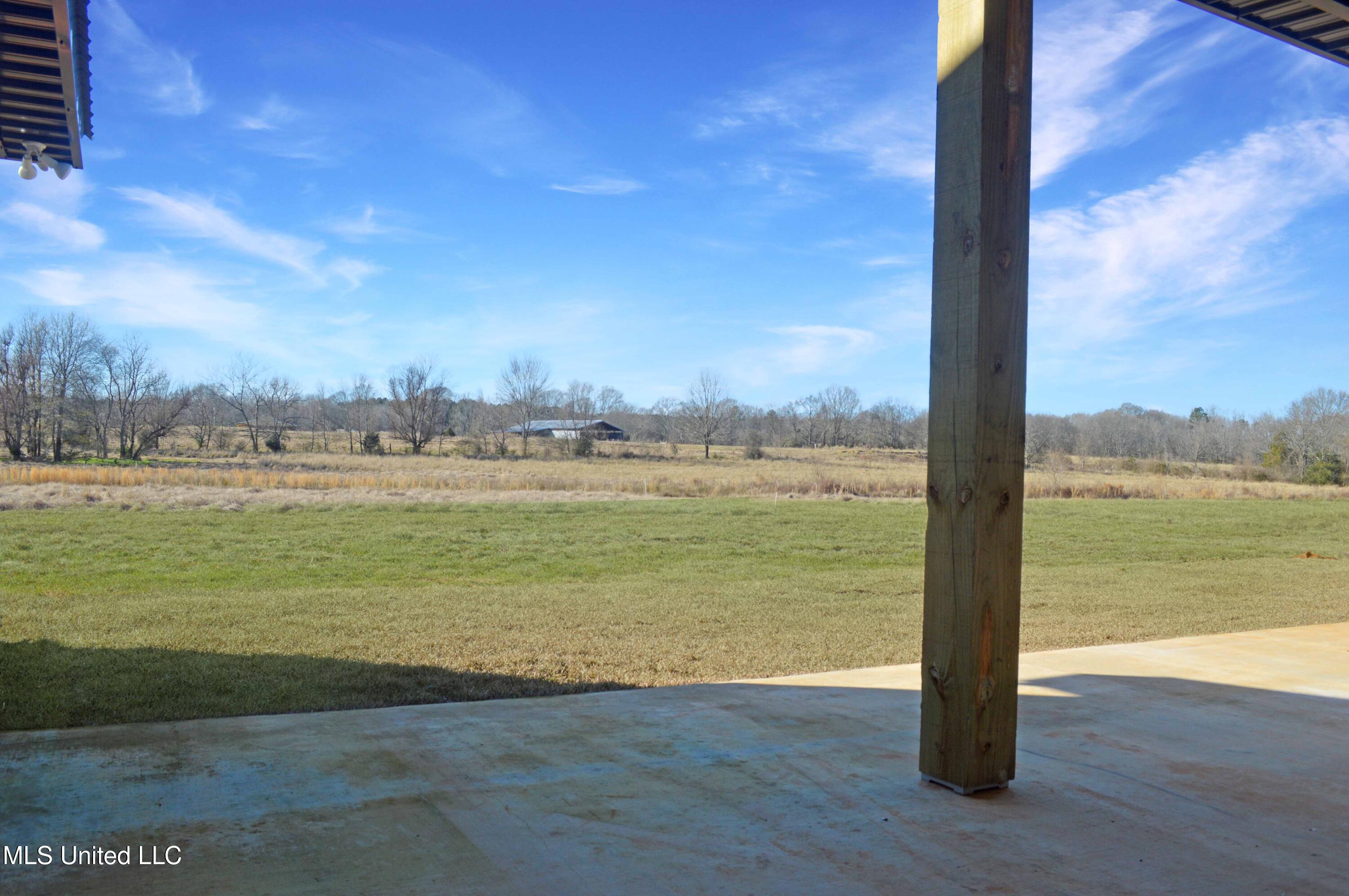 538 Morton-Rankin County Line Road Pelahatchie, MS 39145 - Photo 31 of 32 DSC_0743