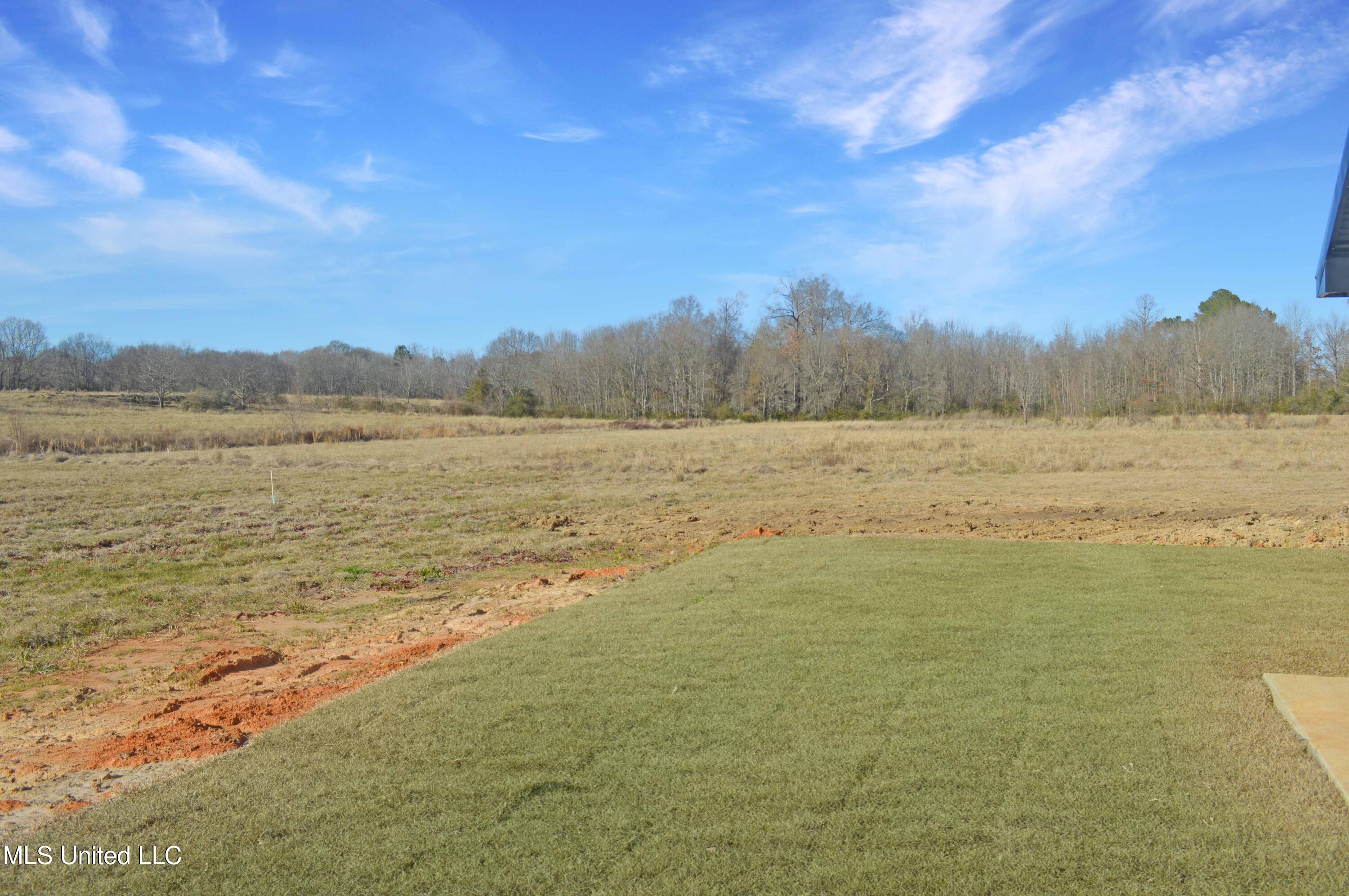 538 Morton-Rankin County Line Road Pelahatchie, MS 39145 - Photo 32 of 32 DSC_0745