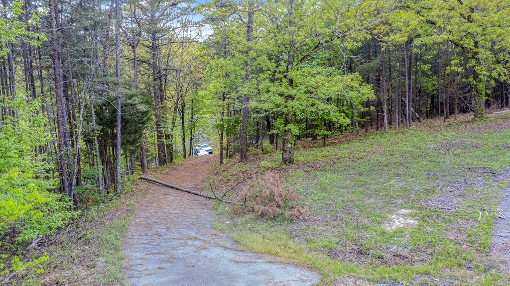 0 Shady Lane Road Dayton, TN 37321 - Photo 8 of 10 Gallery Image 8
