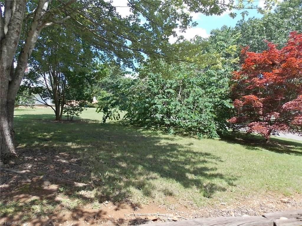 270 Paynetown Road Mount Airy, NC 27030 - Photo 2 of 13 Gallery Image 2