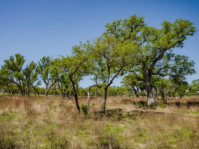 $215,000 | 0 Little Creek Ranch, Johnson City, TX 78636