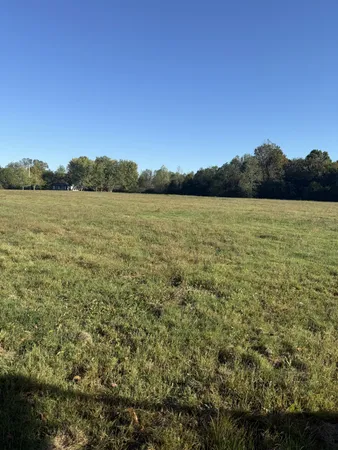 a view of an ocean from a yard