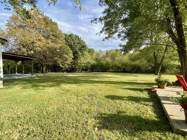 a view of a swimming pool with a garden