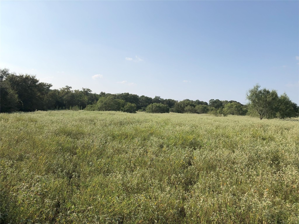 3 B Wild Plum Road Lockhart, TX 78644 - Photo 1 of 1 Gallery Image 1