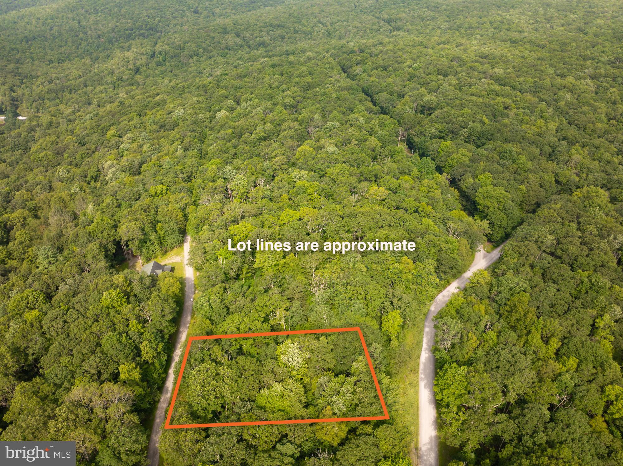 a view of a yard with plants