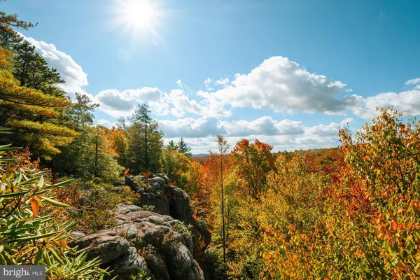 $3,500 | Lot 2 Beaver Run Road, Oakland, MD 21550