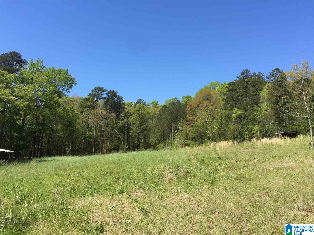 401 Shoal Creek Road Ashville, AL 35953 - Photo 5 of 11