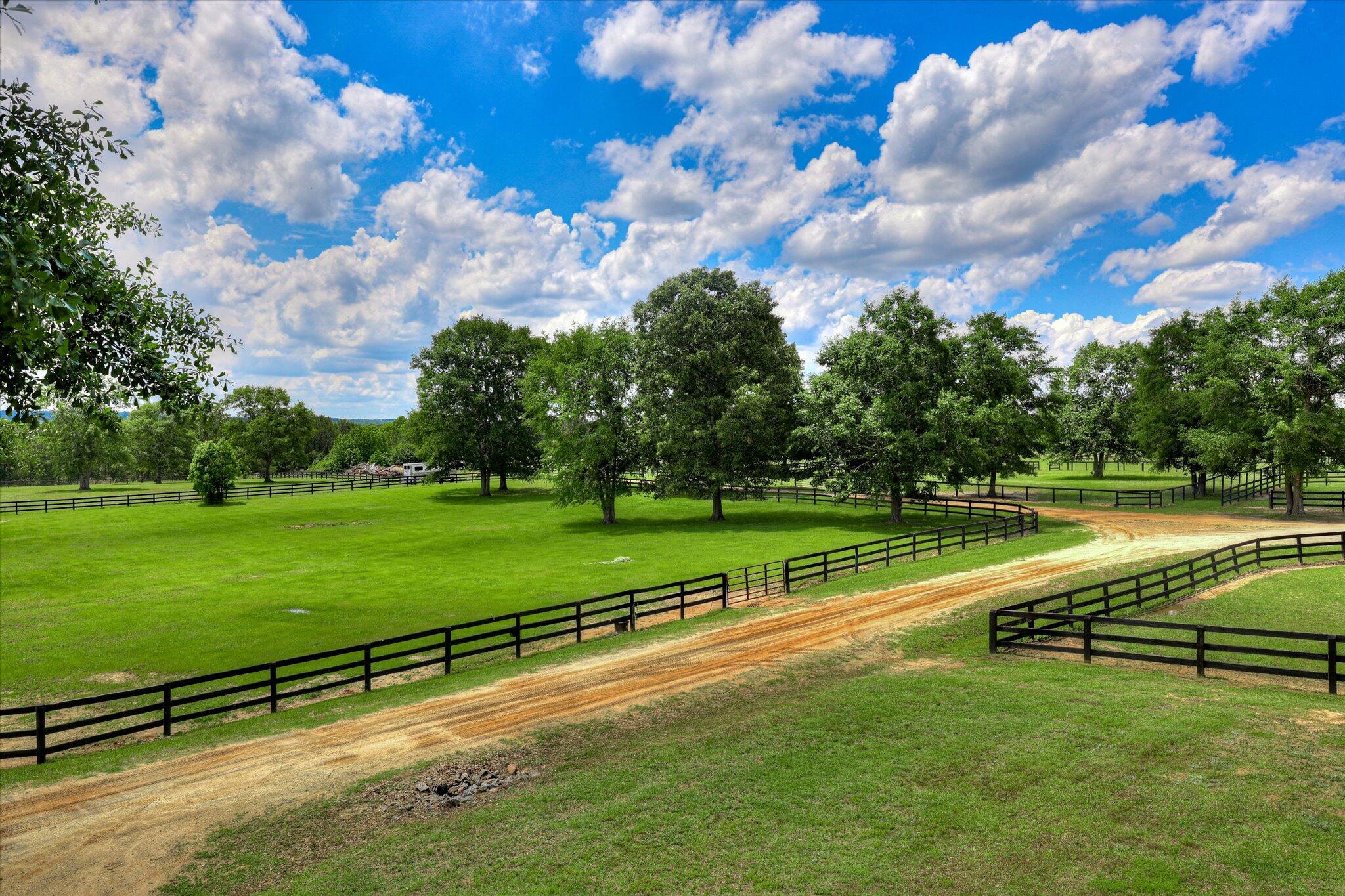 325 Flowing Well Road Wagener, SC 29164 - Photo 28 of 68