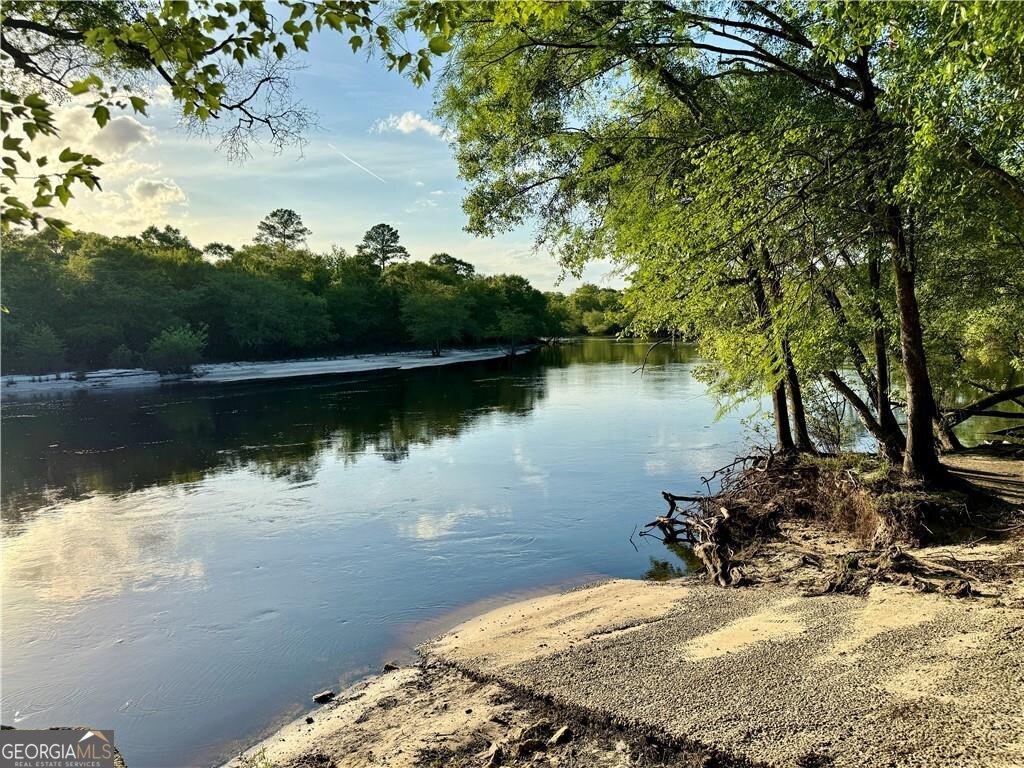 41 Middle Road Hortense, GA 31543 - Photo 2 of 22 a view of a lake from a yard