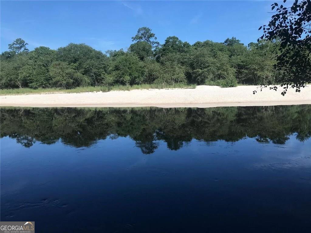 41 Middle Road Hortense, GA 31543 - Photo 21 of 22 a view of lake with mountain
