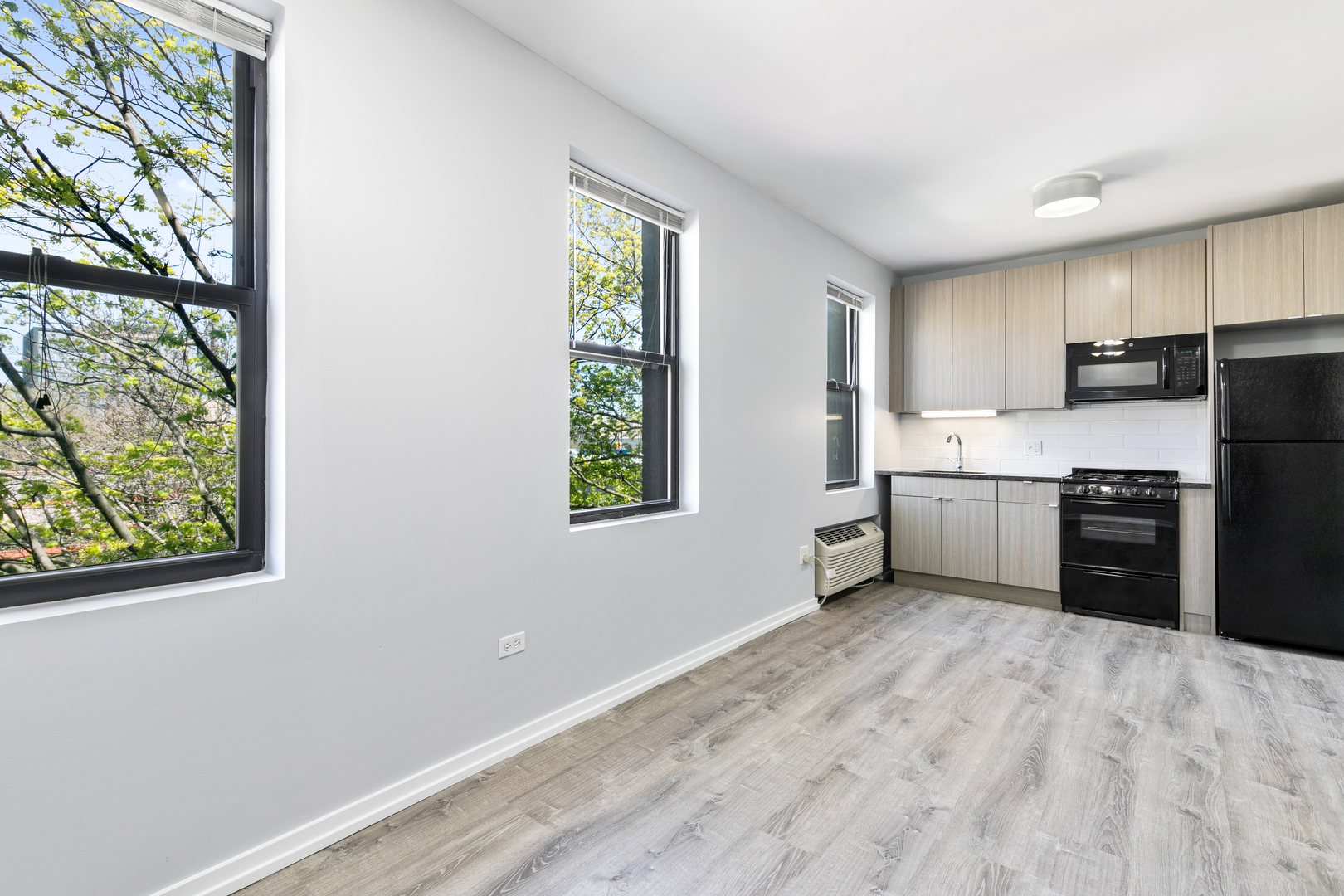 4875 North Magnolia Avenue, Unit 407 Chicago, IL 60640 - Photo 4 of 9