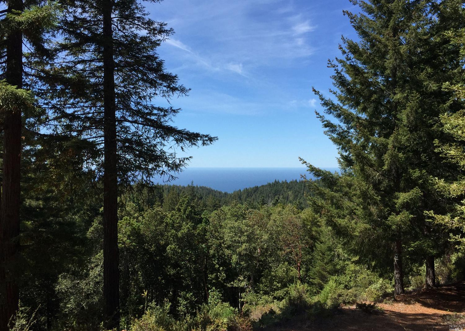 44720 Fish Rock Road Gualala, CA 95445 - Photo 1 of 1 a view of a forest