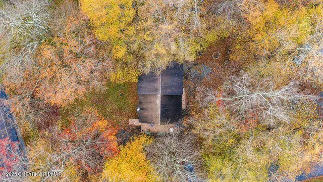 a backyard of a house with large trees