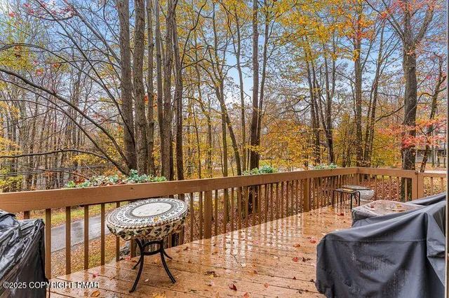 a view of a yard with plants and trees