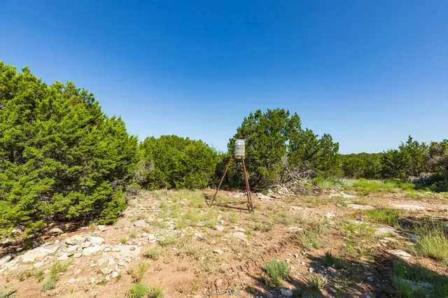 a view of an ocean beach