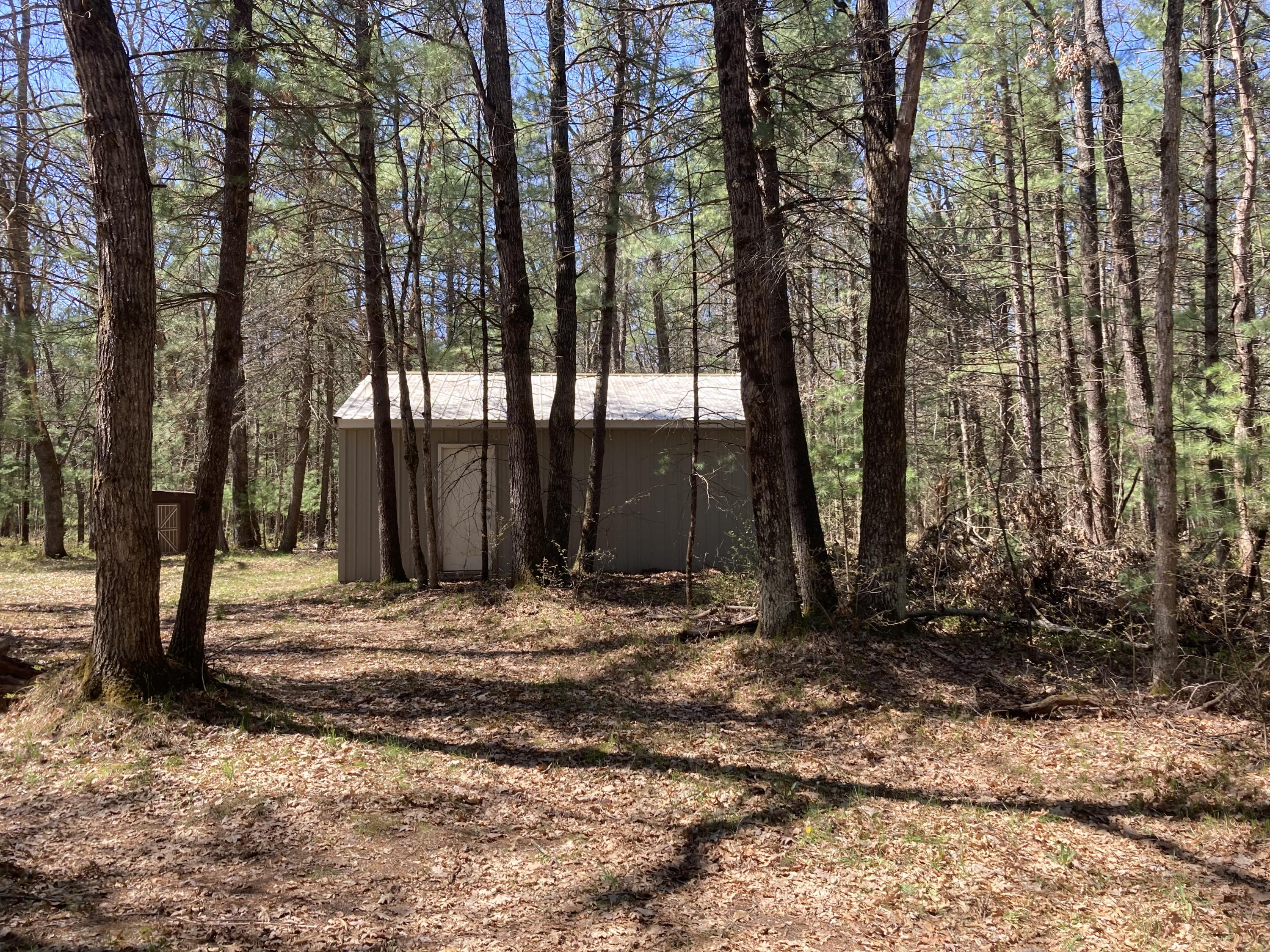 2595 South Forman Road Baldwin, MI 49304 - Photo 29 of 32 IMG_3256