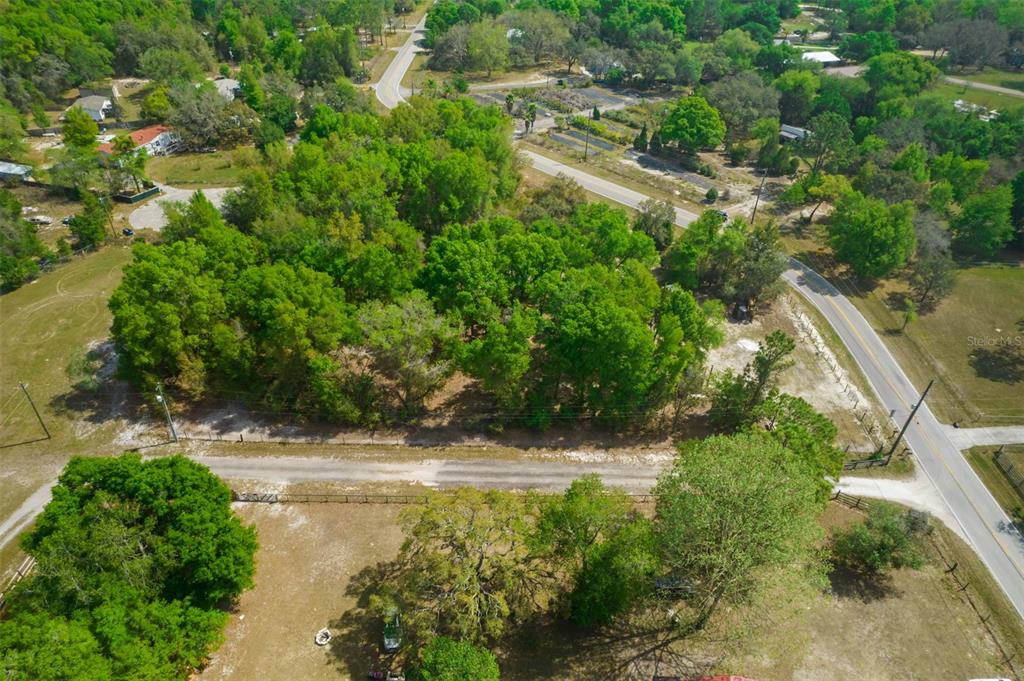 17755 Bosley Drive Spring Hill, FL 34610 - Photo 6 of 10