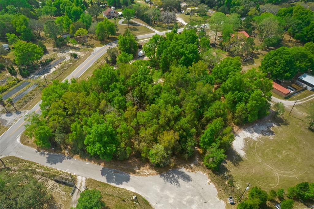 17755 Bosley Drive Spring Hill, FL 34610 - Photo 8 of 10