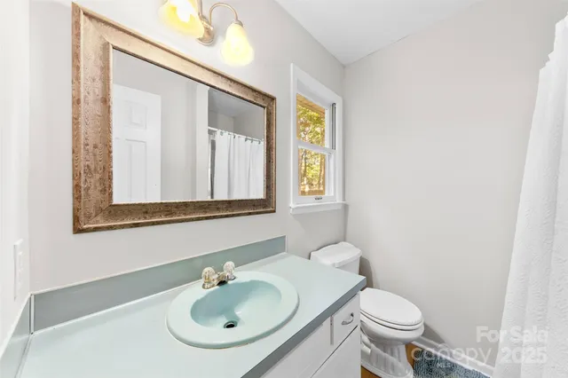 a bathroom with a sink a mirror and a toilet