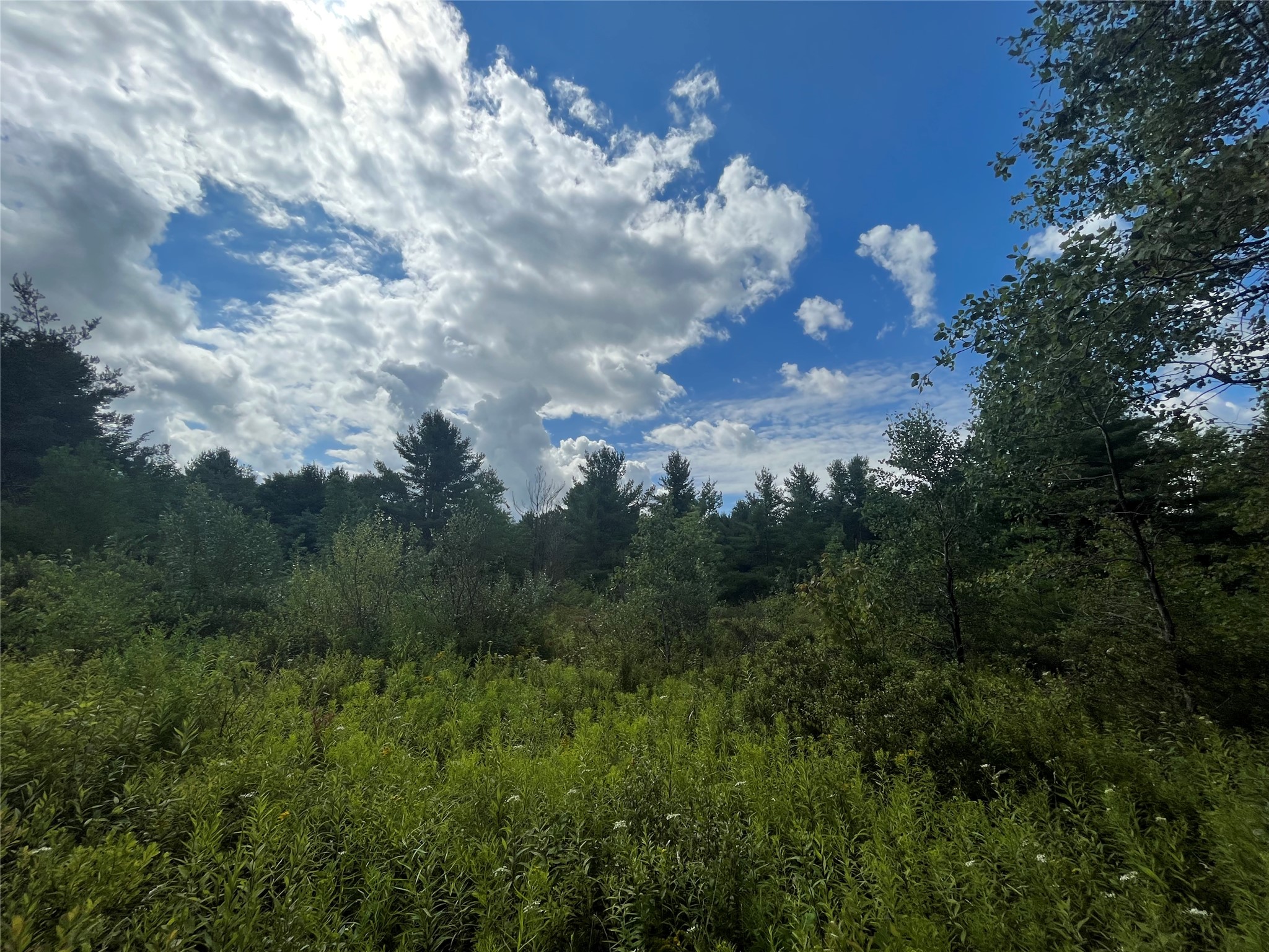 878 Cafferty Road Harpursville, NY 13787 - Photo 13 of 23 Gallery Image 13