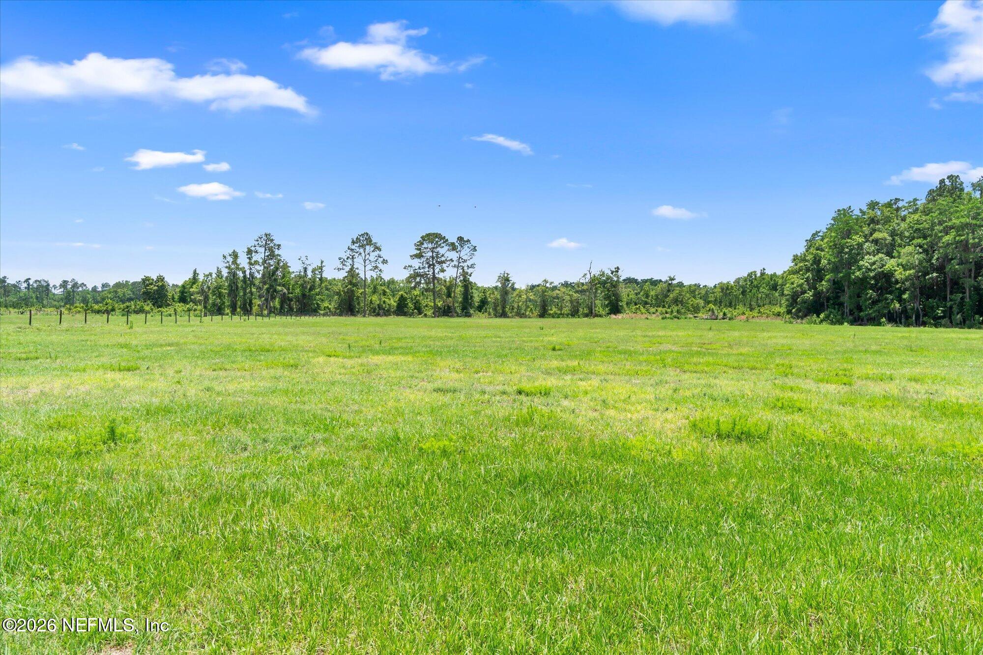 786 West River Road Palatka, FL 32177 - Photo 34 of 53 a view of a grassy field with trees