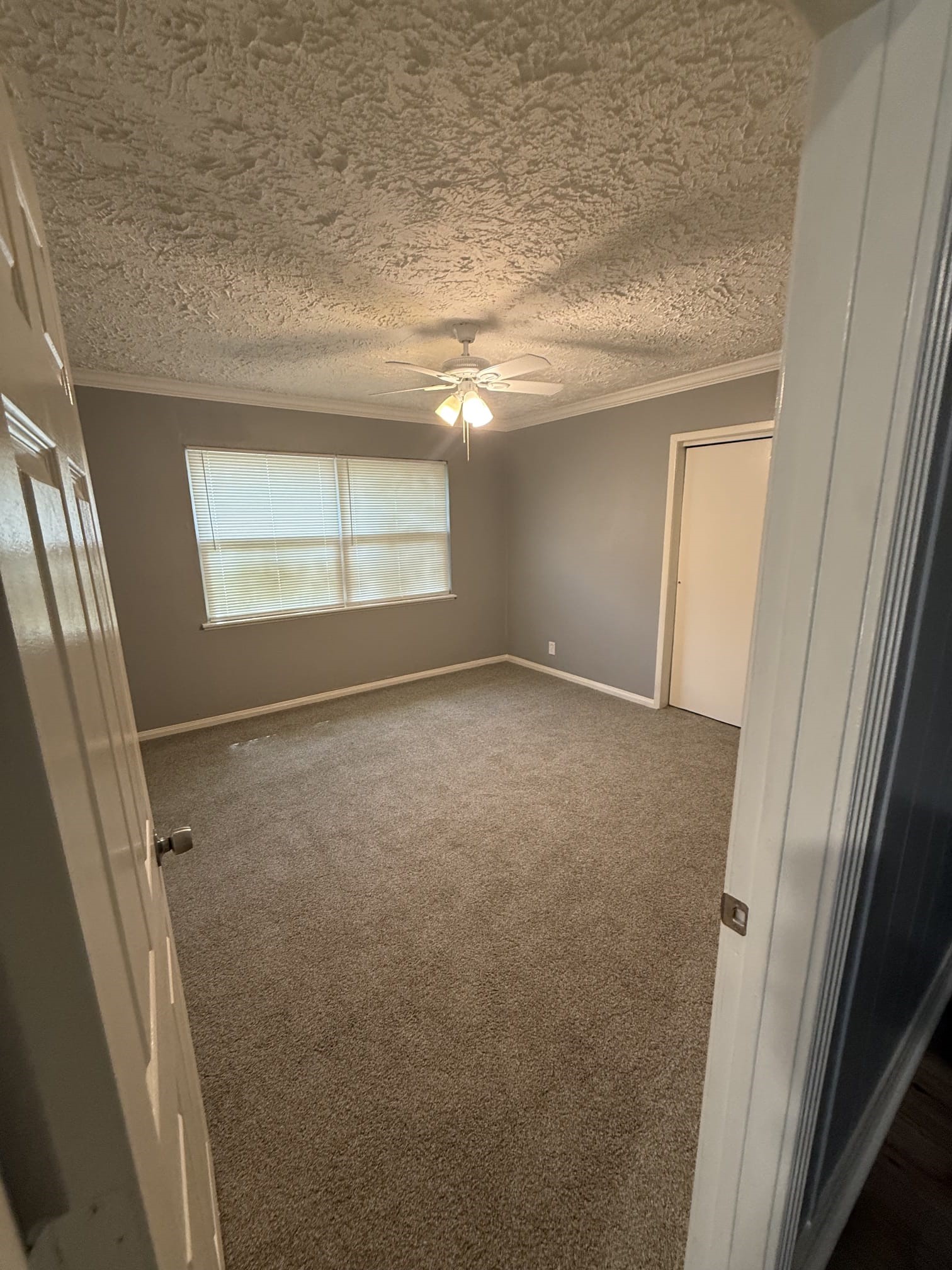 5218 Cortelyou Lane Houston, TX 77021 - Photo 11 of 20 Gallery Image 11